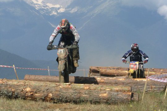 Добринище 2010