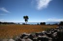 Езерото Титикака пресъхва